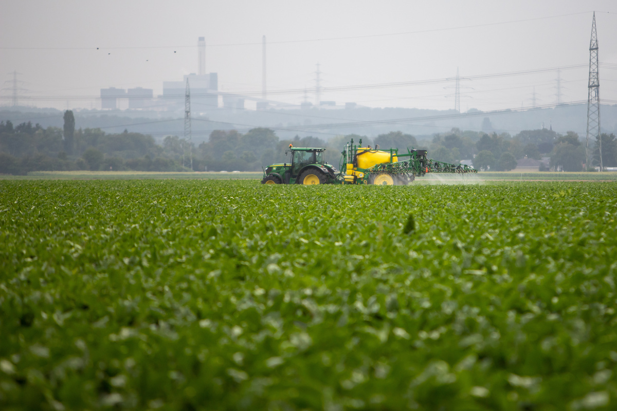 tracteur dans un champ de betterave en train de pulvériser un produit - Illustration La PPL Entraves au menu de la rentrée