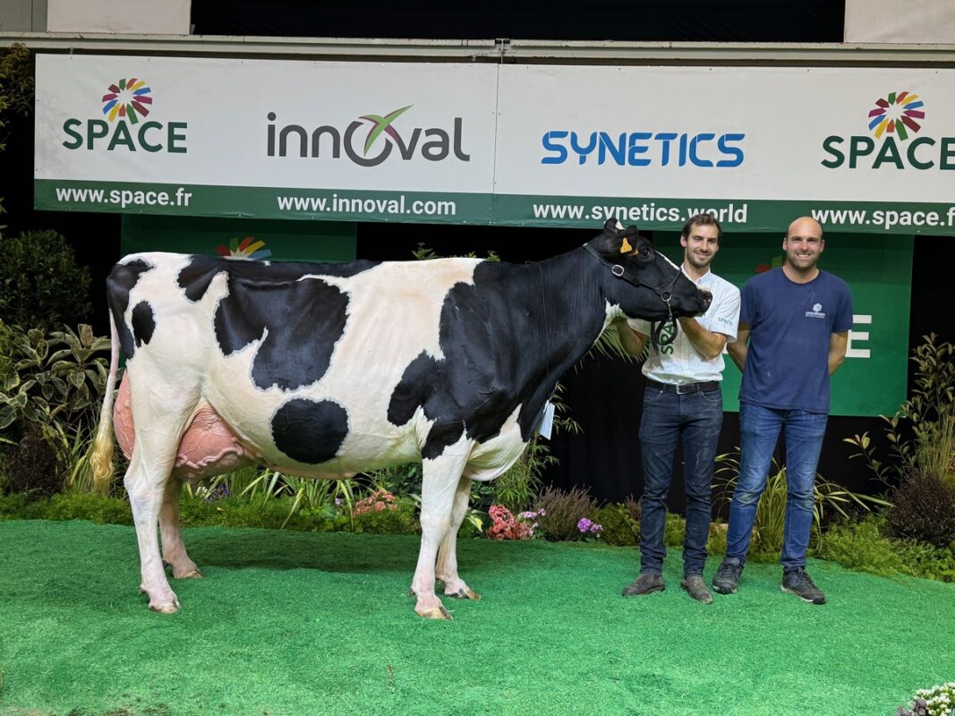 Prix de section des 6<SUP>e</SUP> lactation et plus et Challenge longévité pour CapJ Janai (Ascend x Explode) au Gaec Cabon.