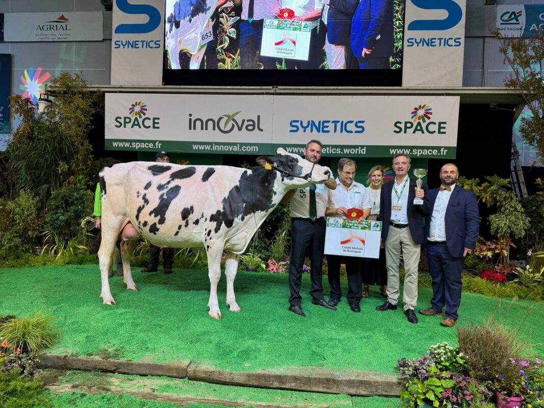 Prix de section 3C des 3e lactation pour Riverside de Kreisker (Chief Stan x Monterey), à l’EARL de Kreis Ker à Plogonnec.