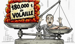 dessin de presse illustration mercosur