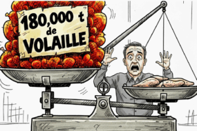 dessin de presse illustration mercosur