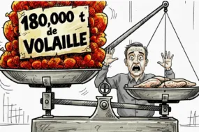 dessin de presse illustration mercosur