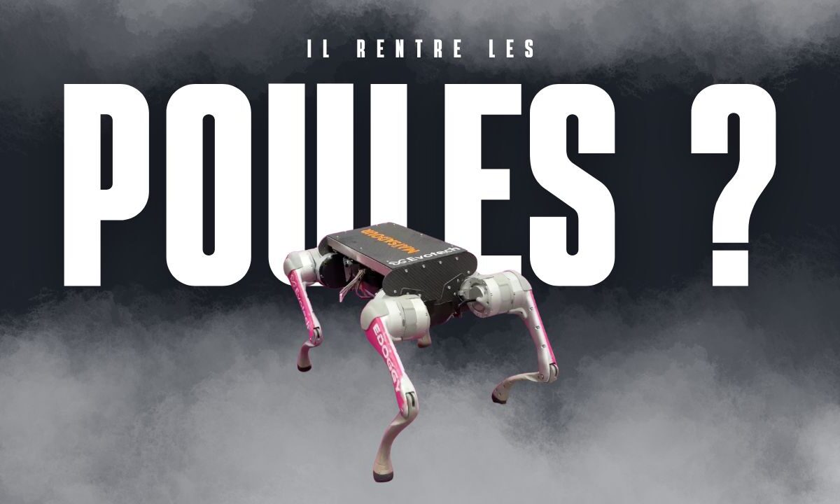 il rentre les poules - Illustration La vidéo de la semaine : Les innovations du Salon