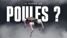 il rentre les poules