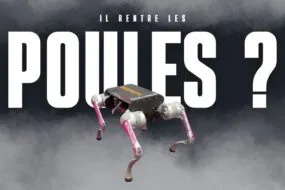 il rentre les poules
