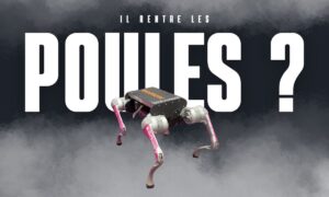 il rentre les poules