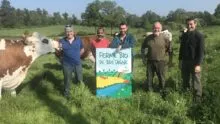 Un groupe de personnes dans un champ avec des vaches