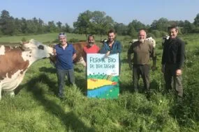 Un groupe de personnes dans un champ avec des vaches