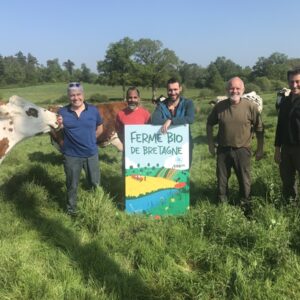 Un groupe de personnes dans un champ avec des vaches