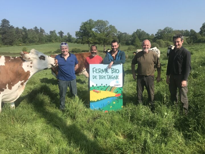 Un groupe de personnes dans un champ avec des vaches