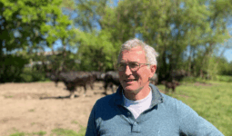 Un homme dans un champ