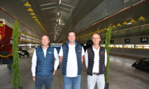 Trois hommes dans un bâtiment d'élevage de volaille