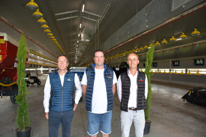 Trois hommes dans un bâtiment d'élevage de volaille