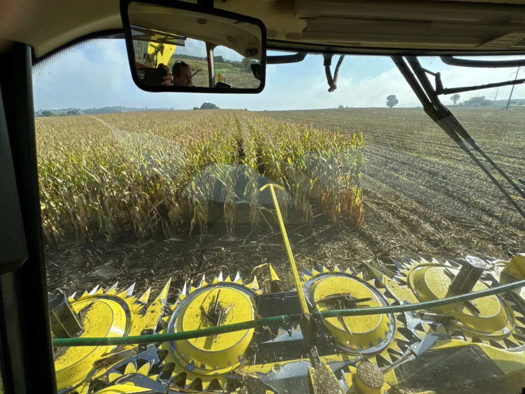 Chantier de la Cuma de Saint-Thiédou, à Penguily (22)