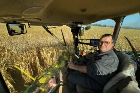 Un homme au volant d'une ensileuse dans une parcelle de maïs.