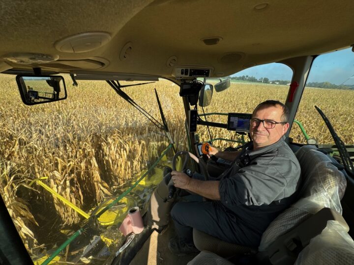 Un homme au volant d'une ensileuse dans une parcelle de maïs.