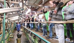 des gens et un éleveur dans un salle de traite