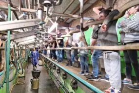 des gens et un éleveur dans un salle de traite