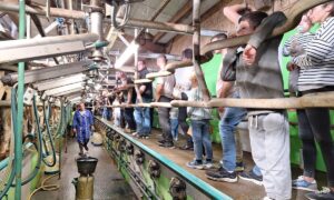 des gens et un éleveur dans un salle de traite