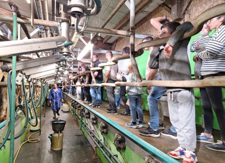 des gens et un éleveur dans un salle de traite