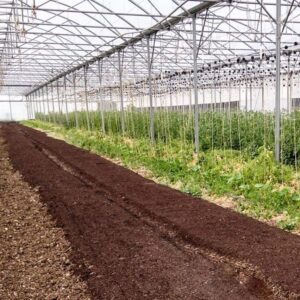 Intérieur d'une serre avec su compost sur une partie du sol