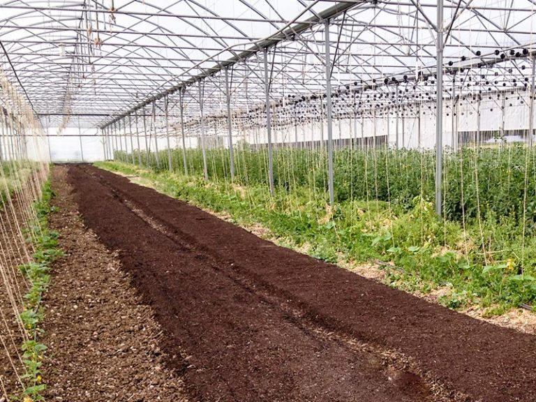 Intérieur d'une serre avec su compost sur une partie du sol - Illustration Fertilisation bio : le Duo Compost et engrais bouchons