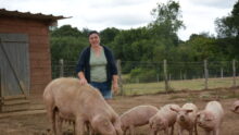 Une femme dans un enclos avec une truie et ses porcelets
