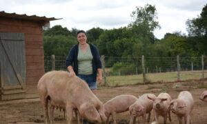 Une femme dans un enclos avec une truie et ses porcelets