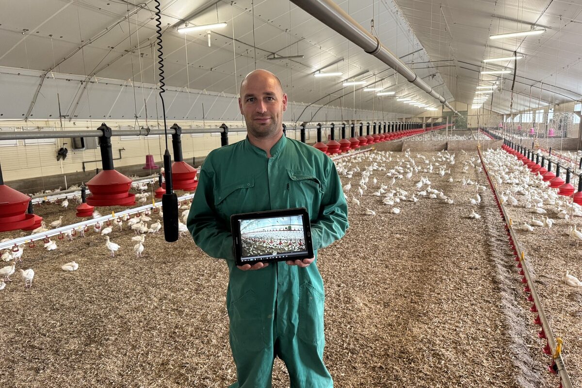 Un agriculteur dans un poulailler à côté d'un micro suspendu avec une tablette dans les mains - Illustration L’œil et l’oreille de l’éleveur