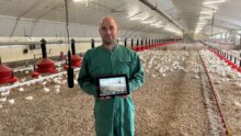 Un agriculteur dans un poulailler à côté d'un micro suspendu avec une tablette dans les mains