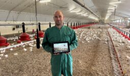 Un agriculteur dans un poulailler à côté d'un micro suspendu avec une tablette dans les mains