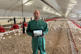 Un agriculteur dans un poulailler à côté d'un micro suspendu avec une tablette dans les mains
