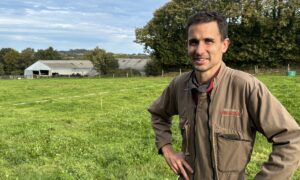 Un agriculteur dans une pâture