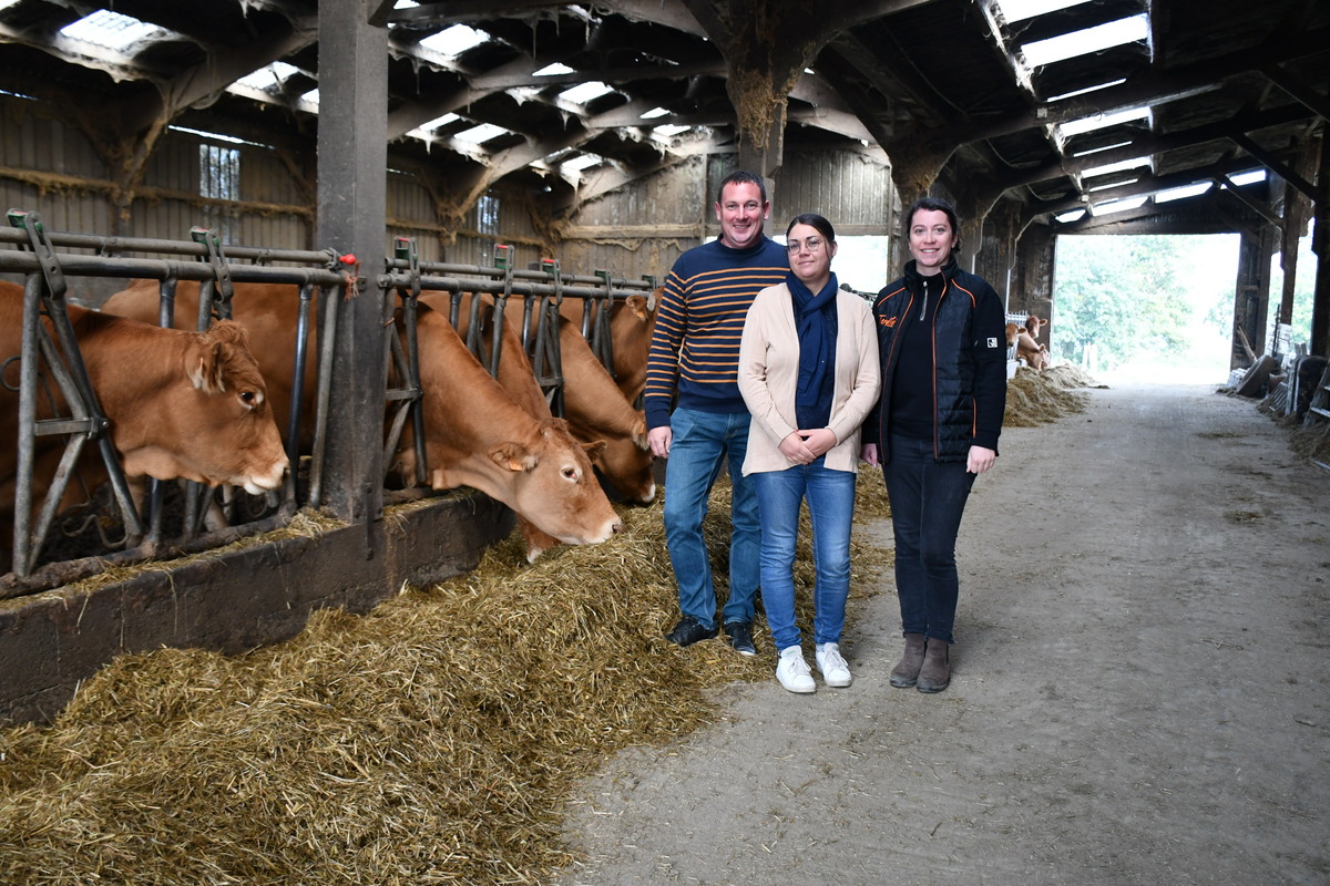 deux femmes et un homme dans une stabulation avec des vaches au cornadis - Illustration Ration et minéraux ‘sur-mesure’ avant vêlage