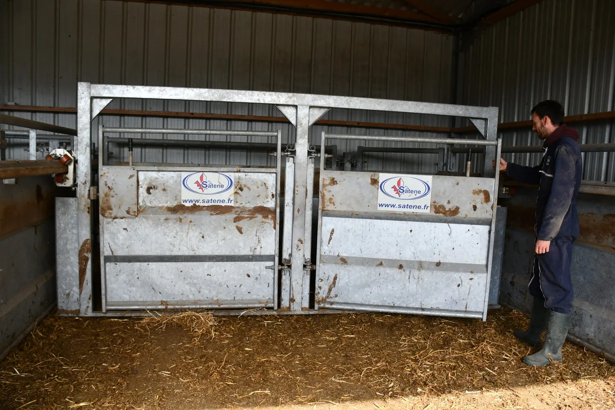 Une personne devant un portail roulant pour bovins avec des portes