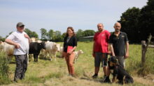 Un groupe de personne dans un champ avec des vaches allaitantes, des veaux et un chien