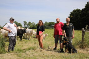 Un groupe de personne dans un champ avec des vaches allaitantes, des veaux et un chien