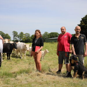 Un groupe de personne dans un champ avec des vaches allaitantes, des veaux et un chien