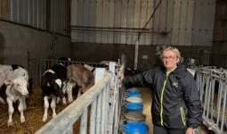 Une éleveuse devant des veaux dans une case paillée