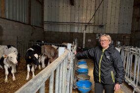 Une éleveuse devant des veaux dans une case paillée