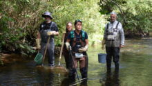 Quatre personnes avec des cuissardes, des épuisettes, des seaux et un appareil de mesure dans une rivière