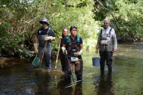 Quatre personnes avec des cuissardes, des épuisettes, des seaux et un appareil de mesure dans une rivière
