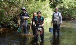 Quatre personnes avec des cuissardes, des épuisettes, des seaux et un appareil de mesure dans une rivière
