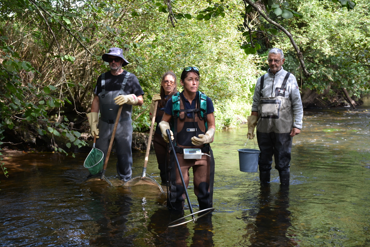 Quatre personnes avec des cuissardes, des épuisettes, des seaux et un appareil de mesure dans une rivière - Illustration Anguilles et saumons se font de plus en plus rares