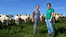 Deux personnes devant un troupeau de vaches