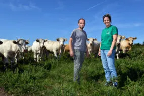 Deux personnes devant un troupeau de vaches