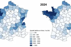 Carte statistique de France sur l'évolution de la densité laitière départementale (Production laitière/SAU du département) entre 2015 et 2024