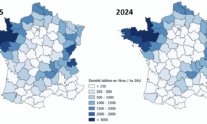 Carte statistique de France sur l'évolution de la densité laitière départementale (Production laitière/SAU du département) entre 2015 et 2024