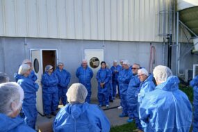 Des personnes en visite d'une exploitation porcine