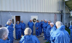 Des personnes en visite d'une exploitation porcine
